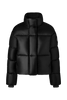 Cypress Cropped Puffer Black Label Black 2256WB