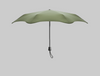 Blunt Neo Citrus Sage Green