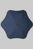 Blunt Neo Citrus Midnight Navy