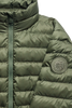Womens Aethera Jacket Vireo Green 2481WT
