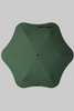 Blunt Neo Citrus Forest Green