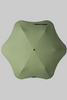 Blunt Neo Citrus Sage Green