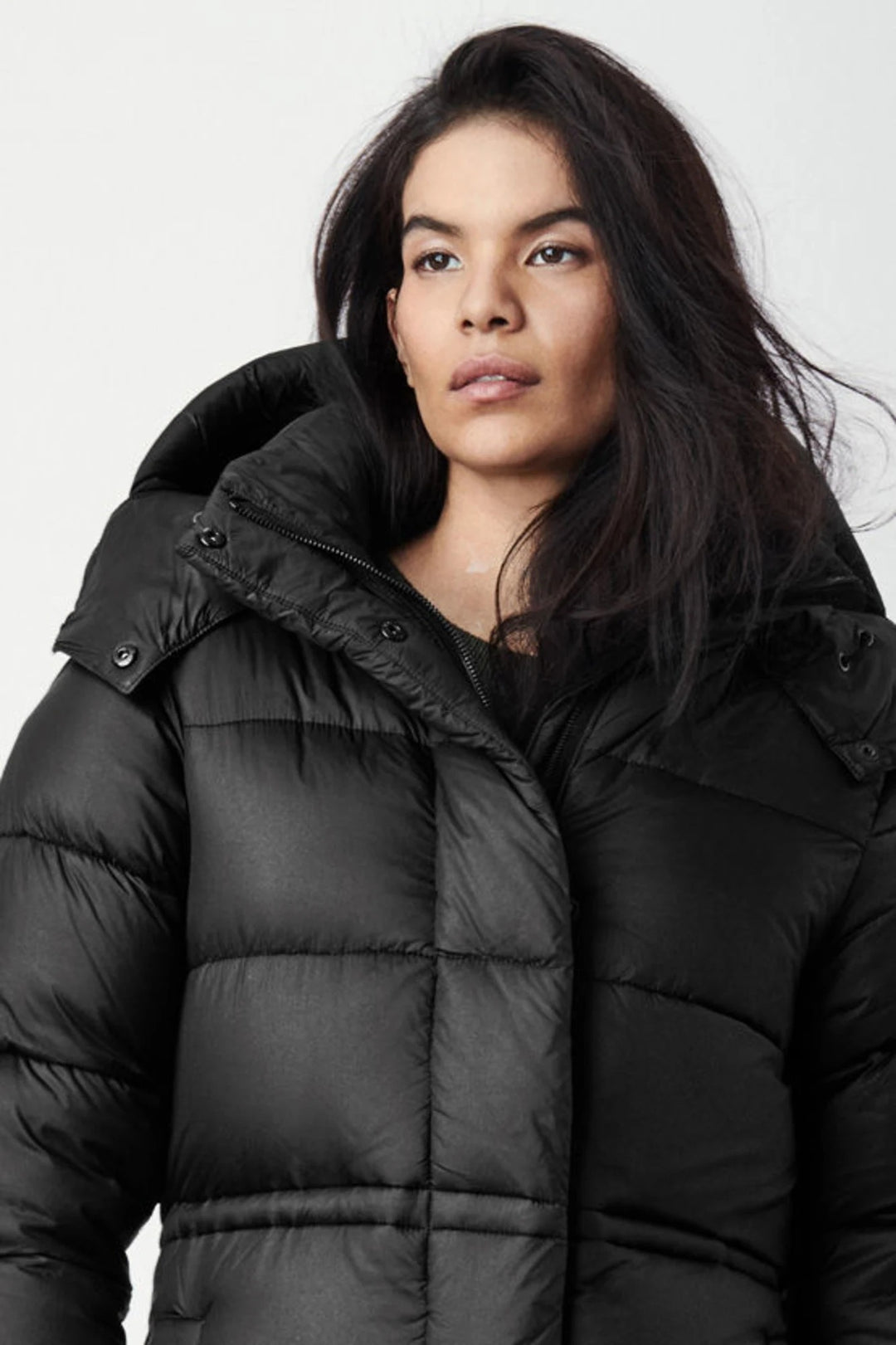 Arosa canada goose online