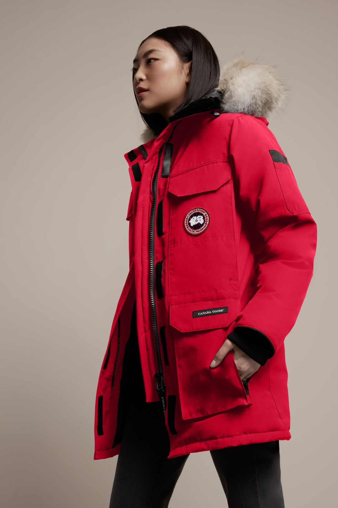 Fusion Fit Tagged canada goose Te Huia New Zealand