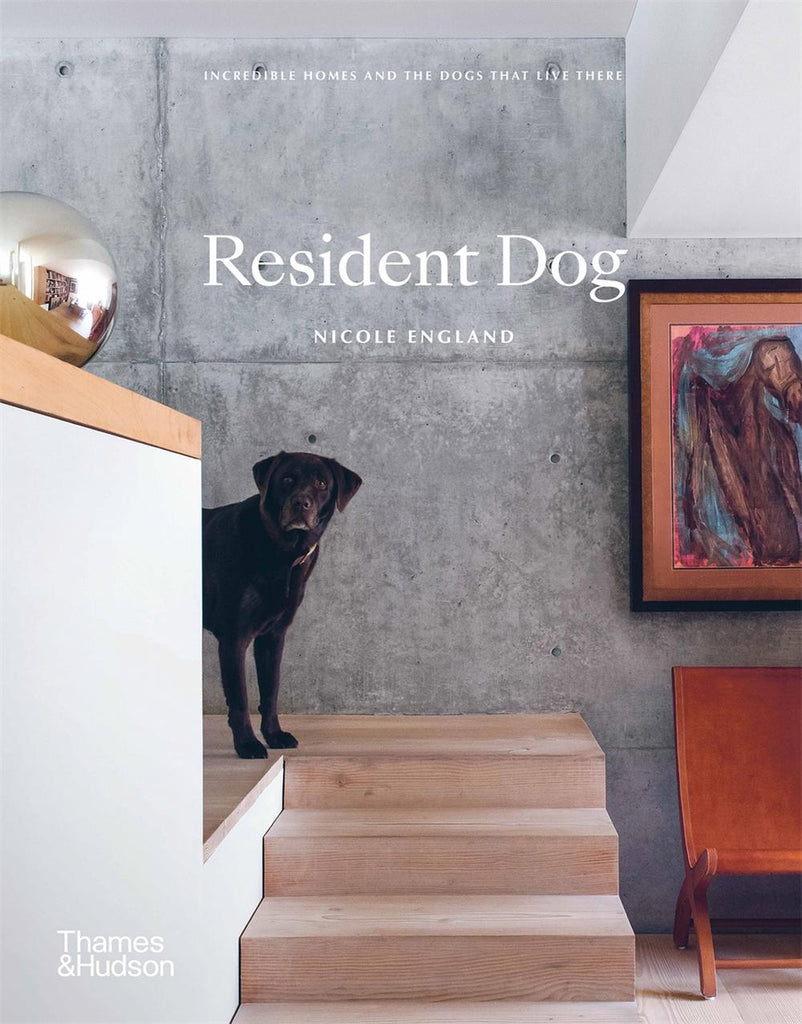 Resident Dog - Nicole England